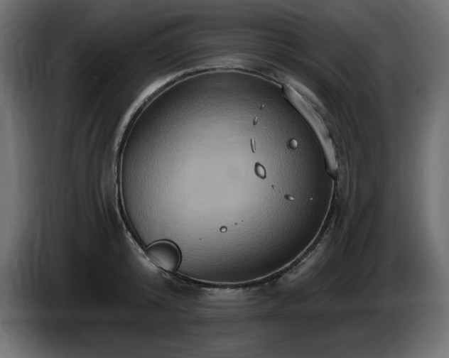 X0000086730800200704131105