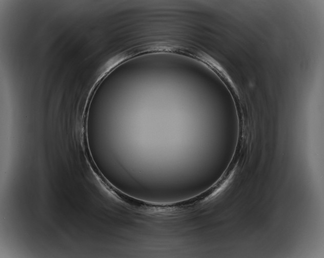 X0000086730802200704131105