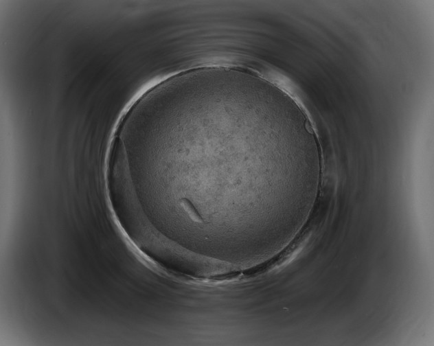 X0000086730803200704131105