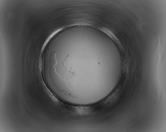 X0000086730804200704131105