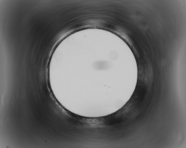 X0000086730807200704131105