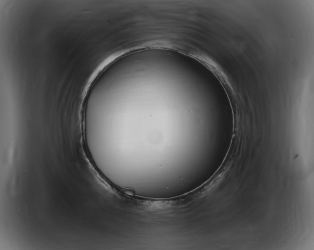 X0000086730808200704131105