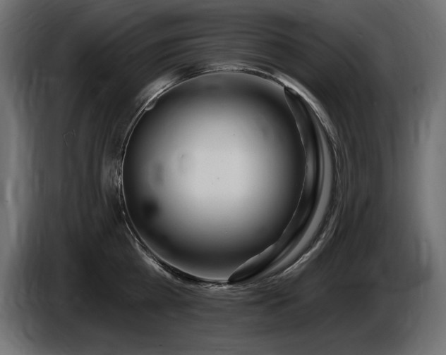 X0000086730809200704131105
