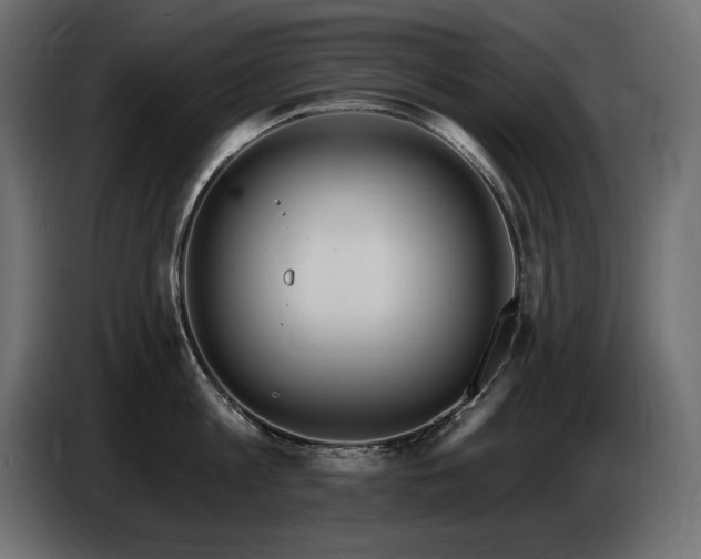 X0000086730813200704131105