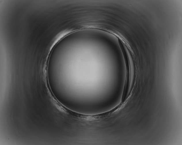 X0000086730814200704131105