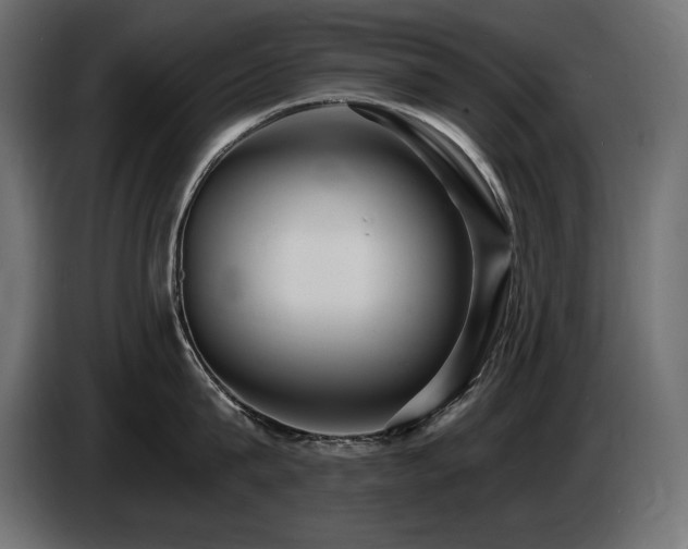 X0000086730815200704131105