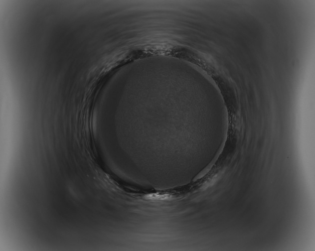 X0000086730818200704131104