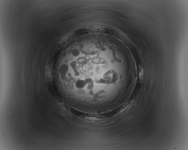 X0000086730819200704131104