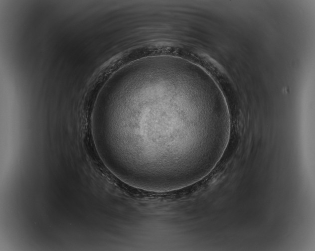 X0000086730821200704131104