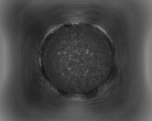 X0000086730823200704131104
