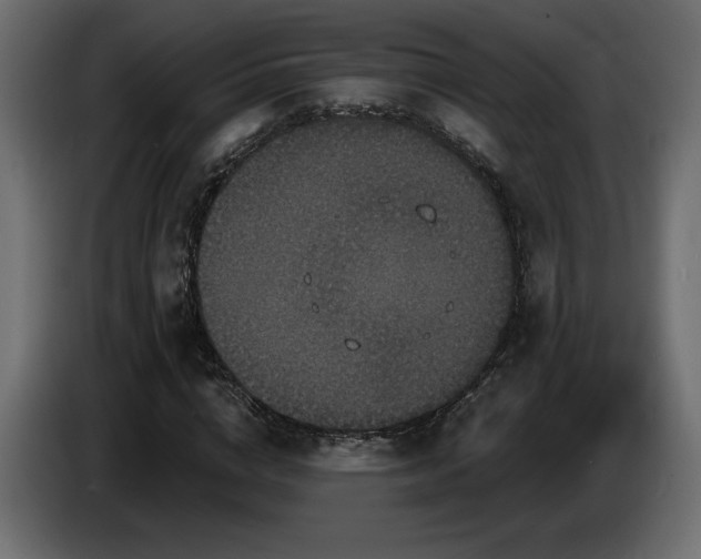 X0000086730824200704131104