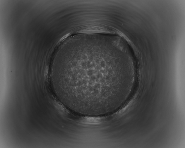 X0000086730825200704131104