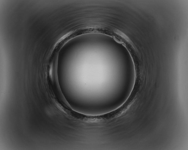 X0000086730826200704131104