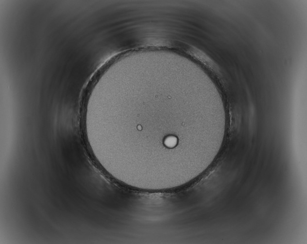 X0000086730828200704131104
