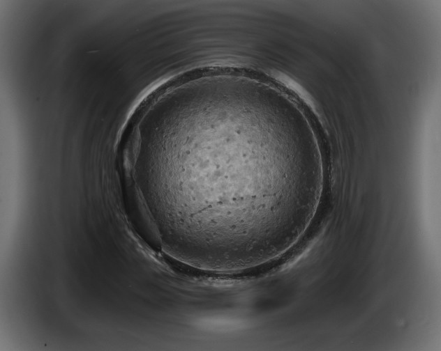 X0000086730829200704131104