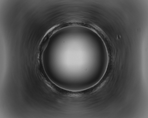 X0000086730830200704131104
