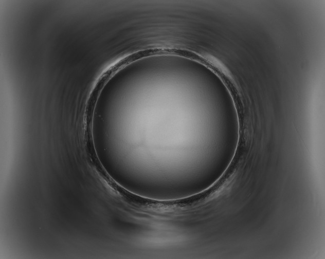 X0000086730831200704131104