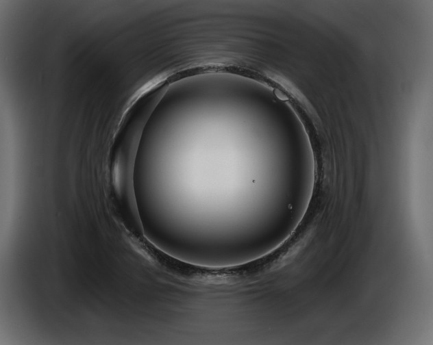 X0000086730834200704131104