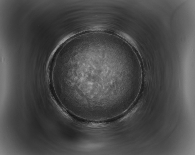 X0000086730835200704131105