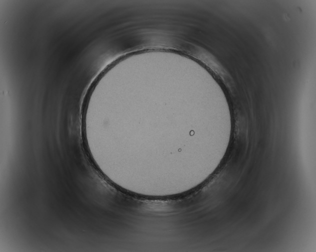 X0000086730836200704131105