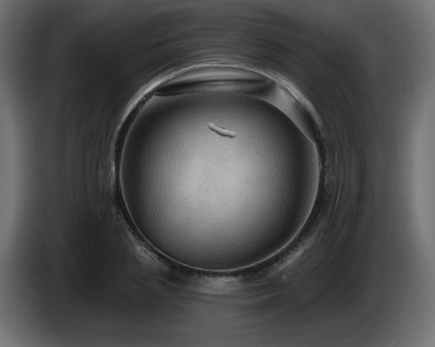 X0000086730837200704131105