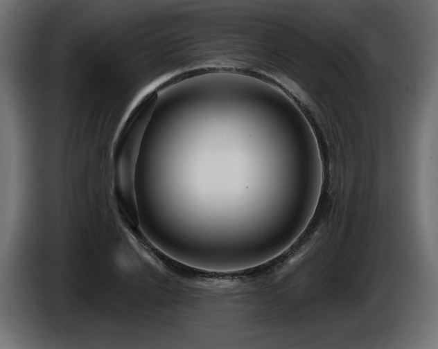 X0000086730838200704131105
