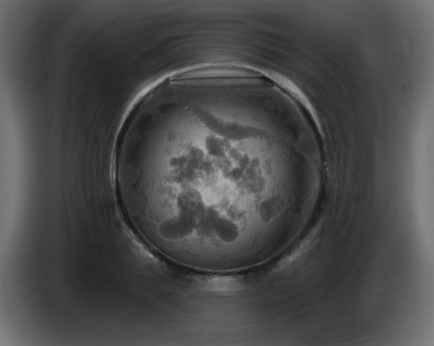 X0000086730839200704131105