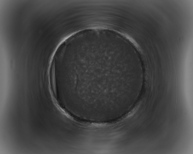 X0000086730840200704131105