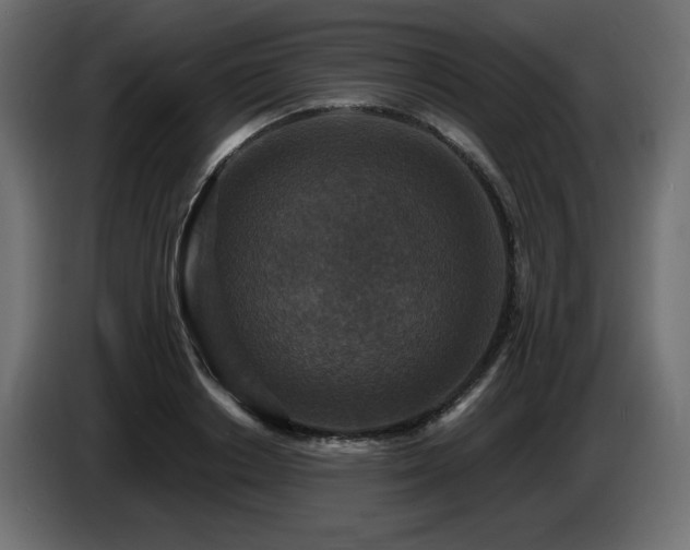 X0000086730842200704131105
