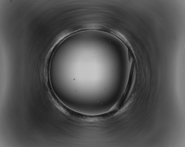 X0000086730843200704131105
