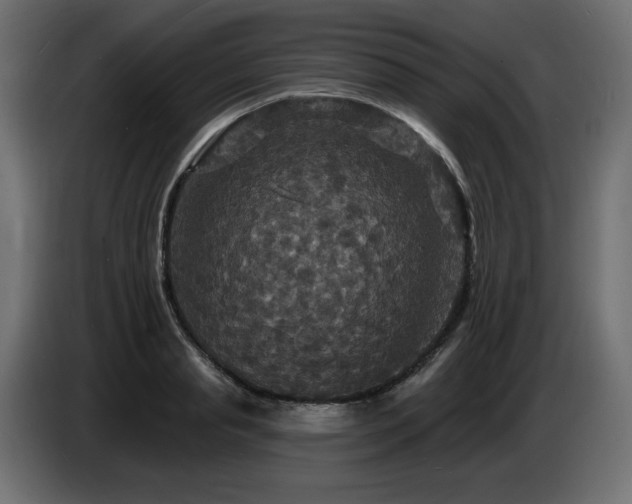 X0000086730845200704131105