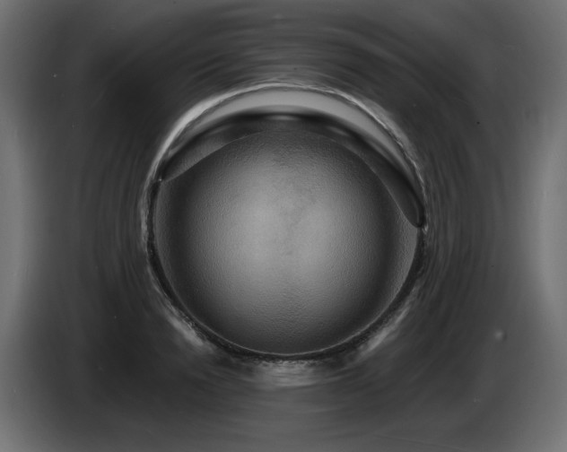X0000086730846200704131105