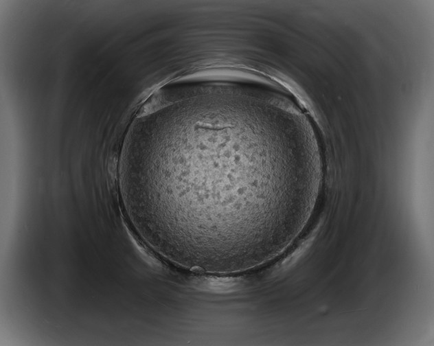 X0000086730849200704131105