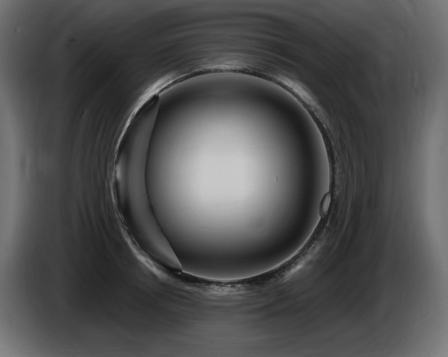 X0000086730850200704131105