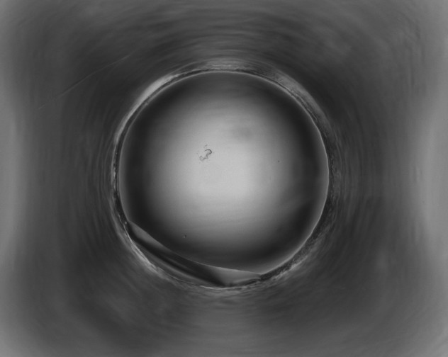 X0000086730852200704131105