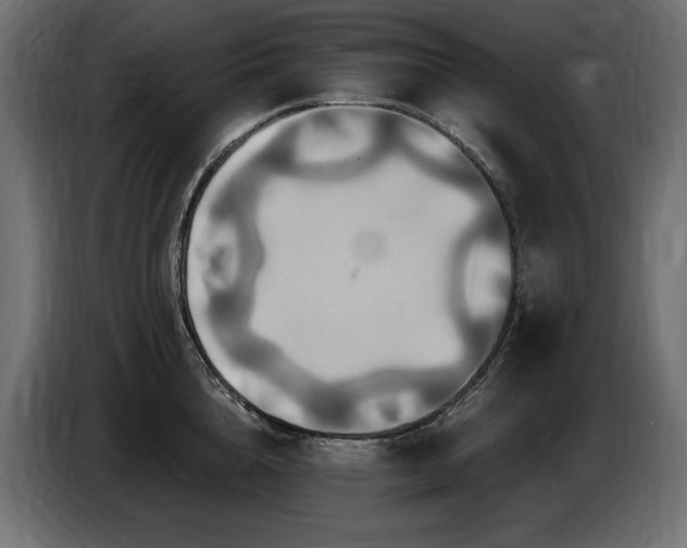 X0000086730856200704131105