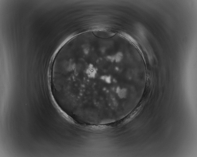 X0000086730859200704131105