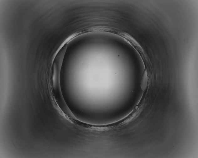 X0000086730860200704131105