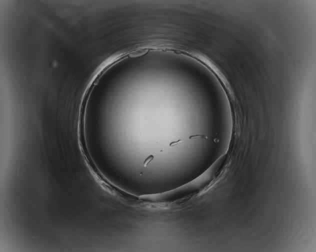 X0000086730861200704131105