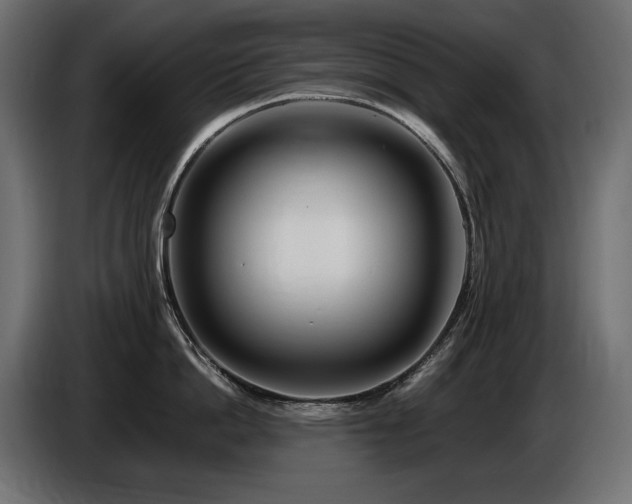 X0000086730862200704131105