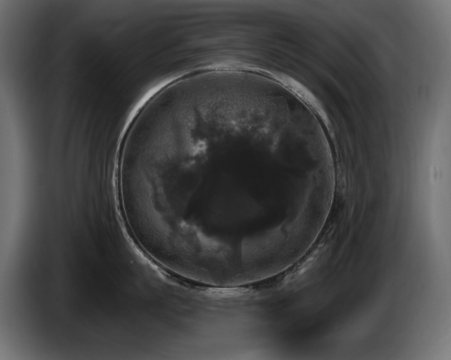 X0000086730863200704131105