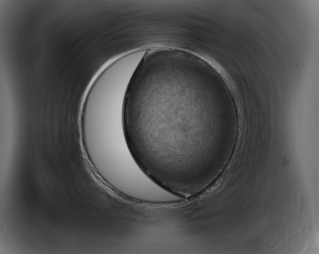 X0000086730864200704131105