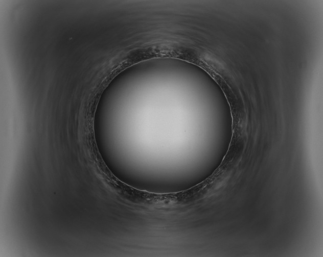 X0000086730865200704131104