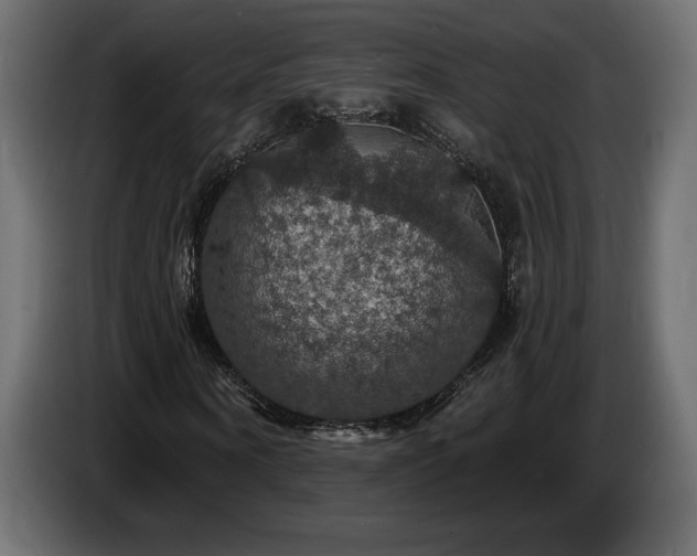 X0000086730866200704131104