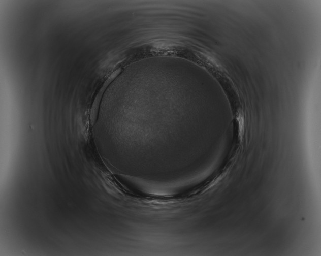 X0000086730868200704131104