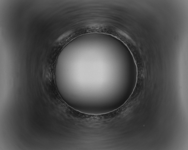 X0000086730869200704131104