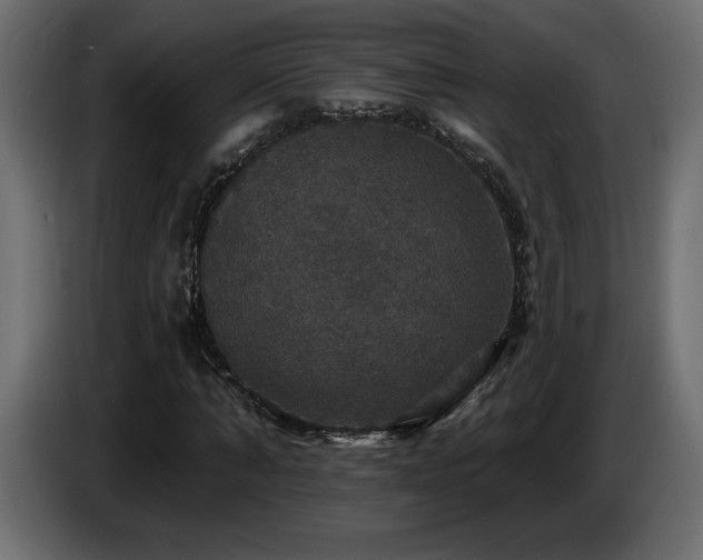 X0000086730870200704131104