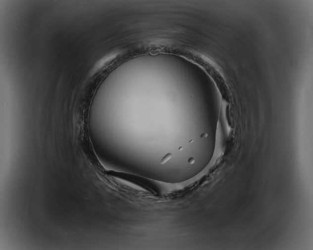 X0000086730872200704131104