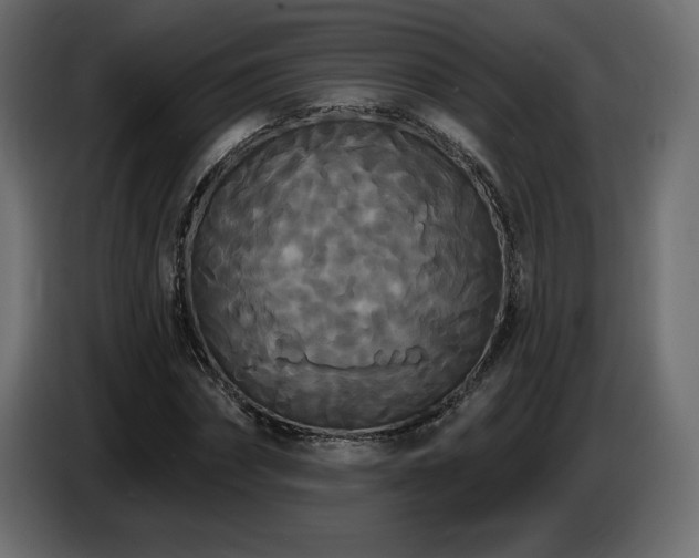 X0000086730874200704131104