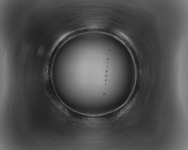 X0000086730875200704131104